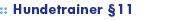 Hundetrainer 11
